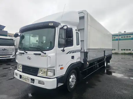 2010 Hyundai Mega Truck 5 Ton GOLD