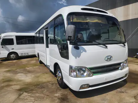 2014 Hyundai County Model